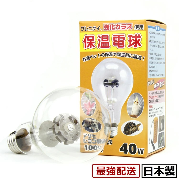 アサヒ　保温球　60W電球3個 Amazon | アサヒ ヒヨコ保温電球 60W | アサヒ | 保温球