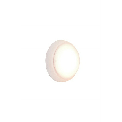 スワン　LED浴室ライト　光色チェンジ　電球色・昼光色　SWL-123WH｜エコデン