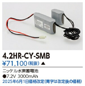 【法人様限定】東芝　補修用バッテリー4.2HR-CY-SMB｜エコデン 30,757円