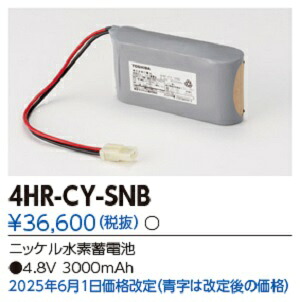 【法人様限定】東芝　補修用バッテリー4HR-CY-SNB｜エコデン 17,537円