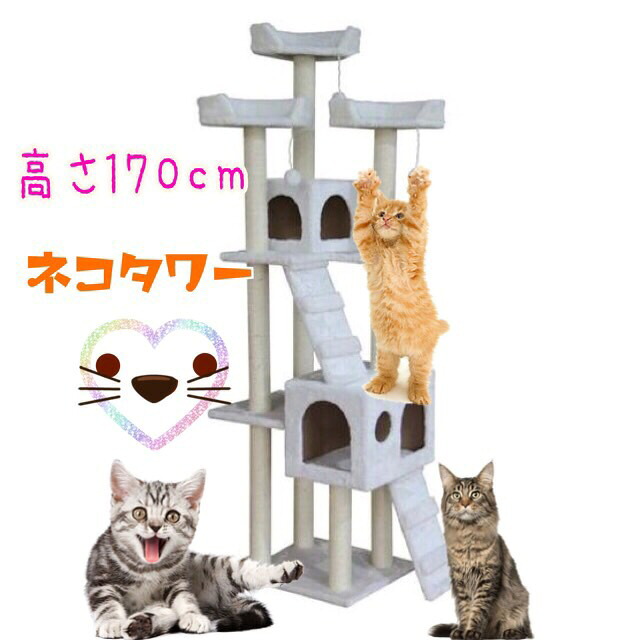 楽天市場】キャットタワー 猫タワー ワイド170cm カラー3色 オフ 