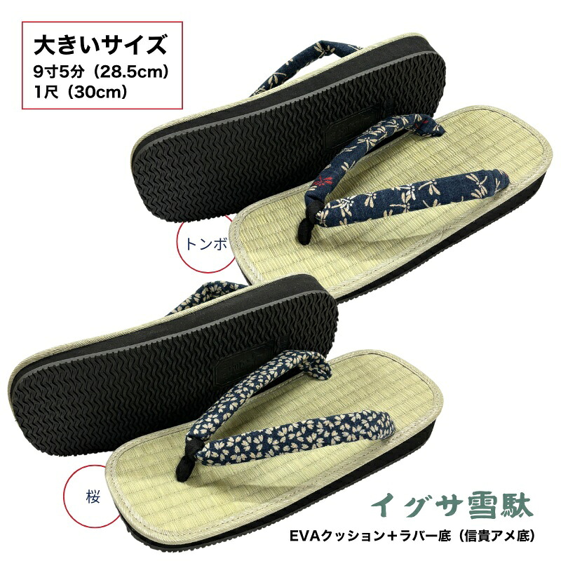 About Us -日本の首都てんについて-