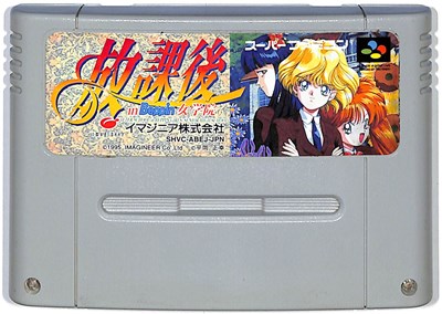 SFCソフト「レディストーカー～過去からの挑戦～」中古動作品です。 Amazon | レディストーカー ~過去からの挑戦~ | ゲームソフト