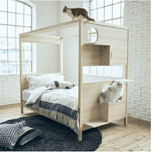 フランス共和国愛玩動物 キャットタワー 臥榻 cat tower bed わんにゃん 犬 飼い犬 猫 猫 調度品 可愛らしい 調度品 貨物輸送無料 日本製