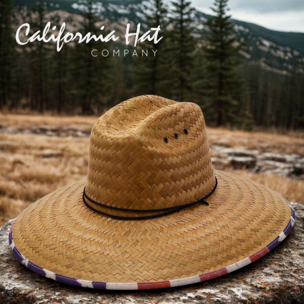 楽天市場】BRIXTON ブリクストン ハット ALPHA SQUARE SUN HAT