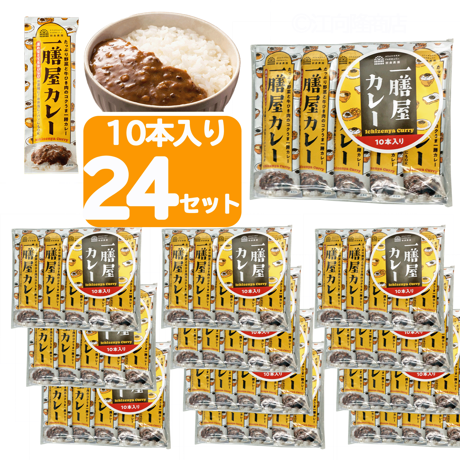 レトルトカレー 一膳屋カレー ひとくちカレー プチカレー ちょっとカレー ちょこっとカレー カレー たっぷり野菜と牛ひき肉のコクうま一膳カレー お弁当に 10袋入り24セット　1箱 日本製 送料無料｜江向隆商店