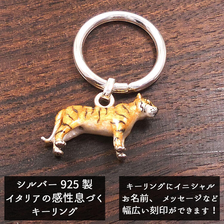 NO.2917✤失われた野生ねこ ジルコニア チャーム NO.2917✤失われた野生ねこ ジルコニア チャーム