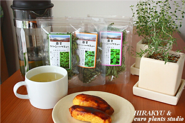 インテリアハーブで、育てる&鑑賞する&味わう