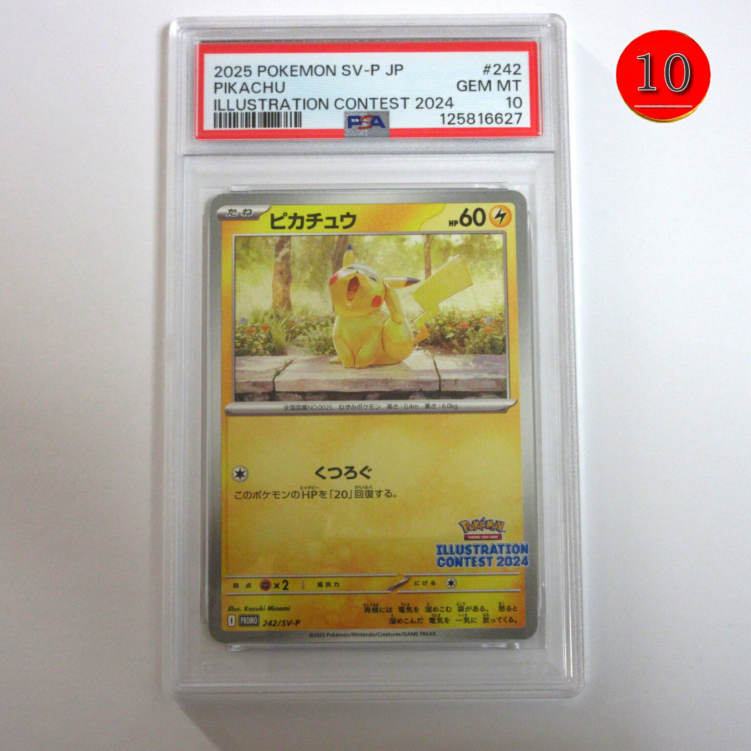 楽天市場】ポケモンカードゲーム イラストレーションコンテスト 2024