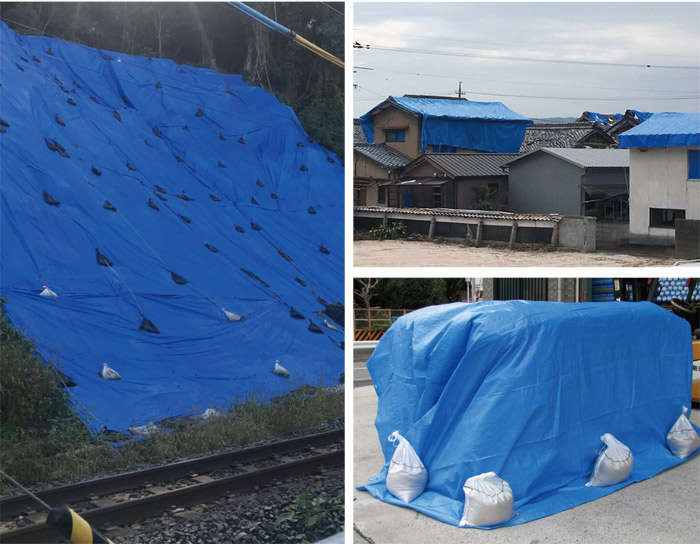 アウトレット送料無料 楽天市場 ブルーシート 中薄 5 4 3 6m 00 10枚単位 Bs 3654k レジャー シート 敷物 ござ 災害 台風 防災 養生 対策 運動会 行楽 花見 海水浴 キャンプ テント 雨よけ 防水 屋外 アウトドア 作業 道具 Diy エストアガーデン 期間限定特価