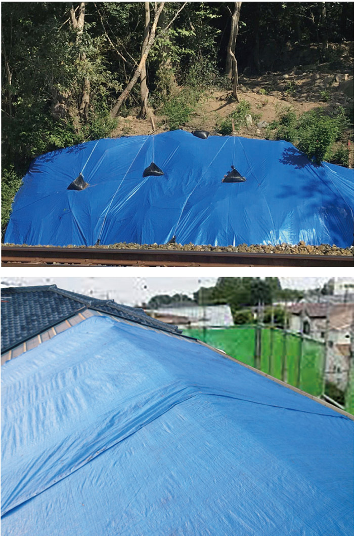 アウトレット送料無料 楽天市場 ブルーシート 中薄 5 4 3 6m 00 10枚単位 Bs 3654k レジャー シート 敷物 ござ 災害 台風 防災 養生 対策 運動会 行楽 花見 海水浴 キャンプ テント 雨よけ 防水 屋外 アウトドア 作業 道具 Diy エストアガーデン 期間限定特価