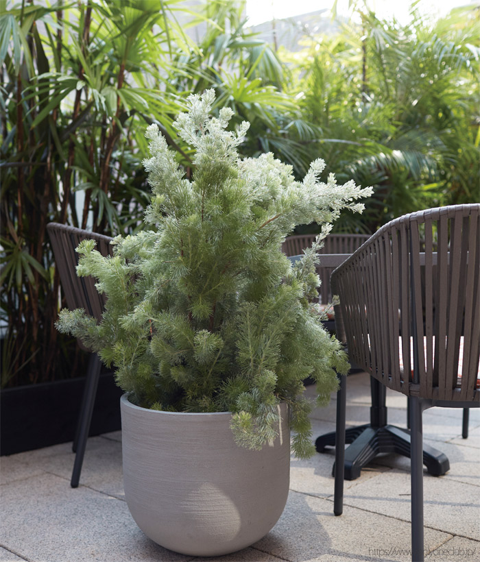 プランター 大型 植木鉢 円形 ファイバーポリレジン 鉢 おしゃれ ソンク ユーポットミドル 直径350 高さ310 ウォームグレー 穴あり ガーデニング 園芸用品 庭 オーナメント ガーデン ギフト 贈り物 Giosenglish Com