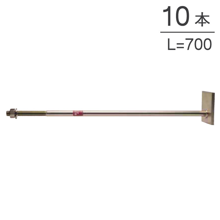 オメガー ホールダウン 偏心座金付ボルト2 M16×700mm AF5H70 10本単位 六角ナット スプリングワッシャー付 木造軸組 ホールダウン金物 木造軸組 基礎と柱脚の緊結 柱と横架材の緊結 上下階の柱相互の緊結 大工 建設工事 建前 上棟式