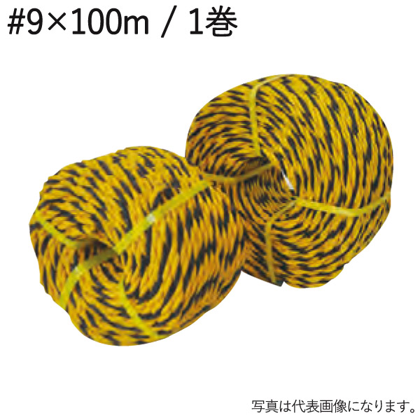 71Q-cXZ9StL._AC_UF894,
