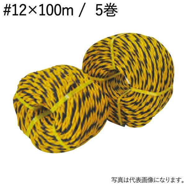 ho5919-kus.jpg