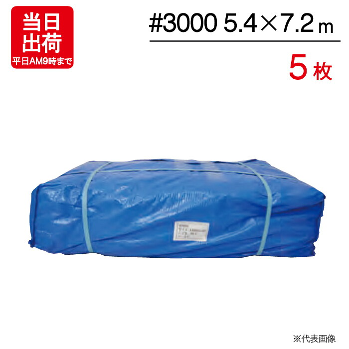 【10％OFF★4/10 1:59まで】 ブルーシート 5.4×7.2m 輸入 #3000 5枚単位 ハトメ付 レジャー シート 敷物 ござ 災害 台風 防災 養生 対策 運動会 行楽 花見 海水浴 キャンプ テント 雨よけ 防水 屋外 アウトドア 作業 道具 DIY