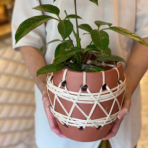 Bloomingville(ブルーミングヴィル) テラコッタフラワーポット Φ16.5 5号 鉢カバー おしゃれ 北欧 植物 鉢 鉢ポット フラワーポット テラコッタ 素焼き鉢 ポット 観葉植物 多肉植物 シンプル インテリア 小物入れ
