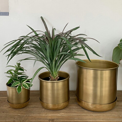 楽天市場】真鍮製 鉢カバー 小物入れ おしゃれ ゴールド BRASS 5号