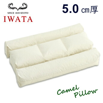 イワタ キャメルピロー5.0センチ厚 DE-RP-00129 枕 ふとん ベッド IWATA｜et-style