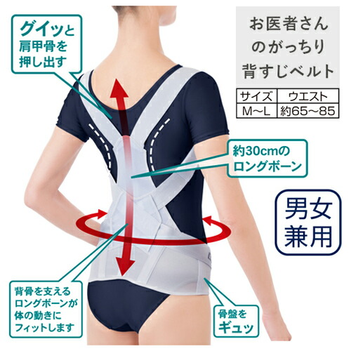【即納】お医者さんのがっちり背すじベルト アルファックス サポーター ベルト 背すじ 骨盤 姿勢 肩こり 猫背 メッシュ ギフト プレゼント