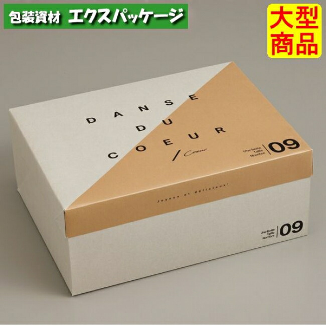 フードサービス　パンシェ　20-2037　#9　サービスボックス　100枚入　ケース販売　大型商品　取り寄せ品　ヤマニパッケージ