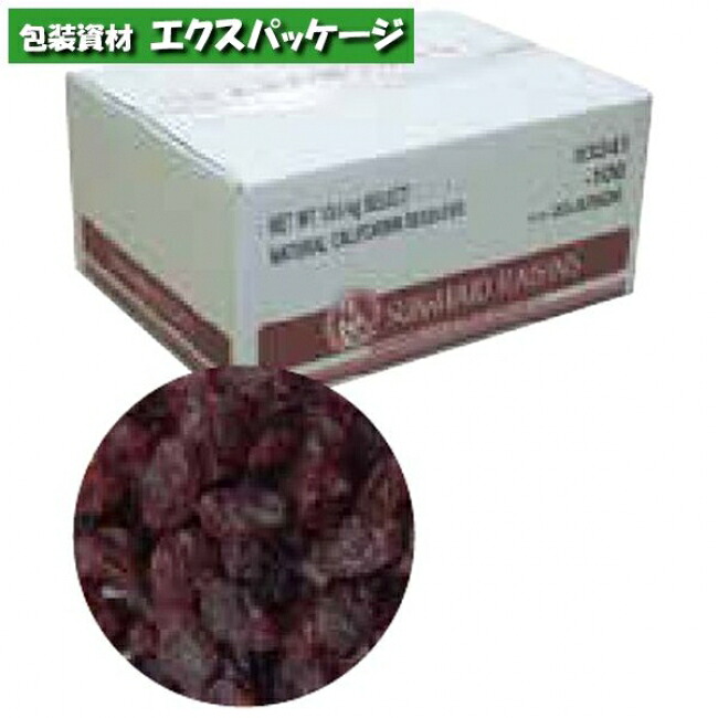 サンメイド　レーズン　13.6kg　330019　取り寄せ品　池伝｜袋 容器 製菓 エクスパッケージ