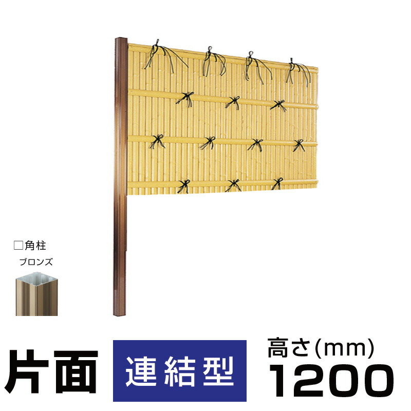 kennina1200ren.jpg