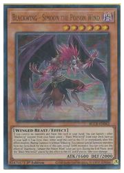 英語版　茶　Blackwing-Simoom the Poison Wind(U)(1st)(BF-毒風のシムーン(BLCR-EN062)画像