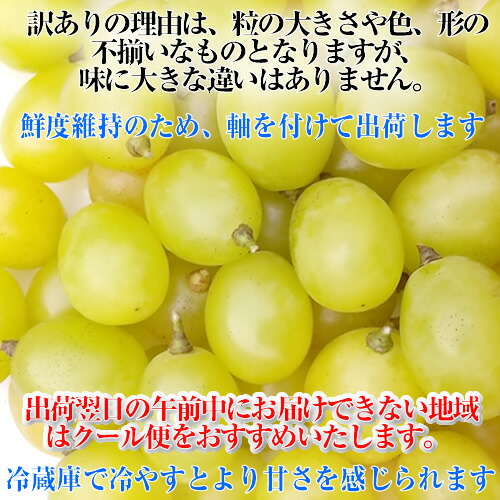 楽天市場 訳あり 完熟 シャインマスカット 250g 粒売り 量り売り 農家直送 種なしぶどう 減農薬 特別栽培 家庭用 業務用 たばたファーム新鮮野菜ネット直売