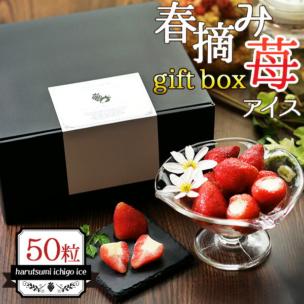 純国産ビスケット(120g)【ノースカラーズ】