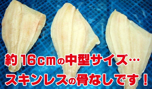 骨なし 黄金カレイ 半身【60gかれい/鰈切り身・5切れ骨なし】冷凍食品 お弁当 弁当 食品 食材 おかず 惣菜 業務用 家庭用 骨なし 黄金カレイ 半身【60gかれい/鰈切り身・5切れ骨なし】冷凍食品 お弁当 弁当 食品 食材 おかず 惣菜 業務用 家庭用