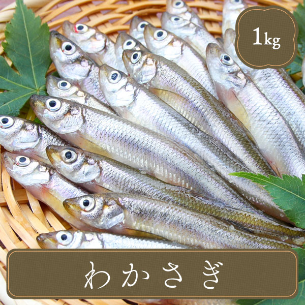 【楽天市場】わかさぎ 1kg 魚 海鮮 食材 冷凍食品 居酒屋 レストラン 食堂 お弁当屋さん カラオケ店 学園祭 移動販売 模擬店 ゴルフ場 お弁当のおかず 夕食 ランチ 昼食 パーティー 食堂 バーべキュー bbq：F・Bクリエイト