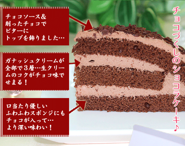 楽天市場 パーティー バイキング チョコケーキ 30g 6個 業務用 家庭用 国産 食べ物 F Bクリエイト