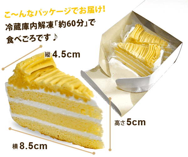 市場 業務用ケーキ 12個 業務用 家庭用 モンブラン