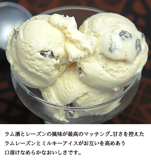 アイスクリーム 業務用 ラムレーズン 2Lアイスクリーム 業務用アイス アイスクリーム 業務用 ラムレーズン 2Lアイスクリーム 業務用アイス