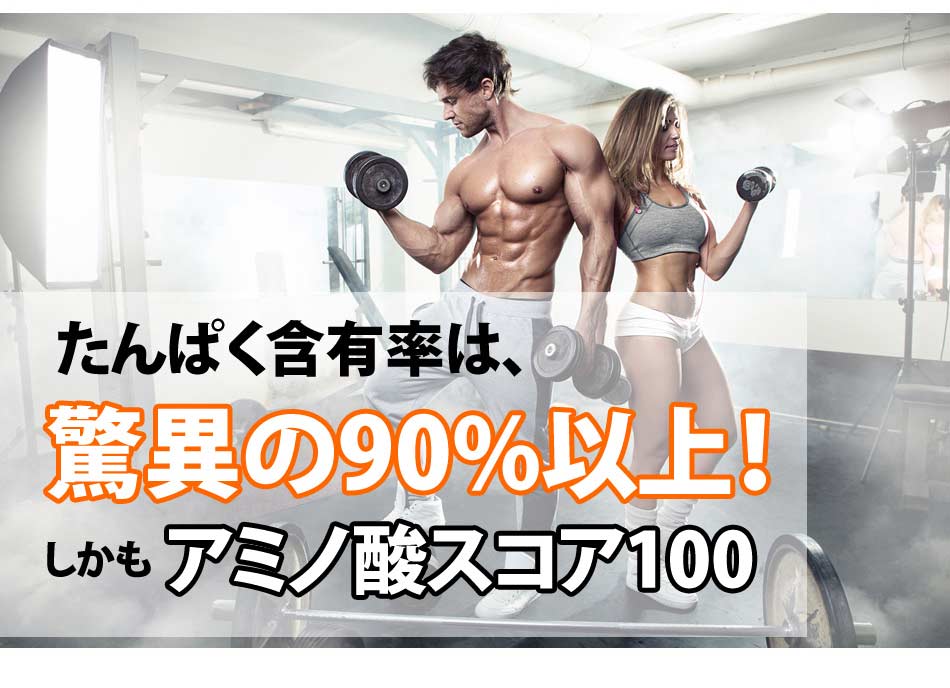 楽天 コスパ最強 10kg ソイプロテイン 無添加 無加工 値挑戦中 箱プロ 筋トレ トレーニング 部活 チーム 筋肉 野球 ラグビー アメフト ボディビル ウェイトリフティング 減量 学生 高校生 中学生 ｆｉｇｈｔ ｃｌｕｂ店w 日本産 Smartisistemas Com Br