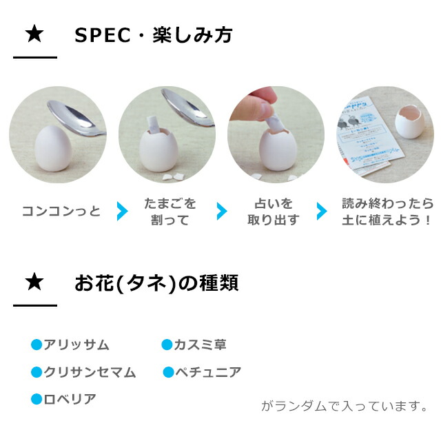 100円クーポン発行中 おみくじ 鳥のことわざたまご占い タネ付き Eg 59 栽培 聖新陶芸