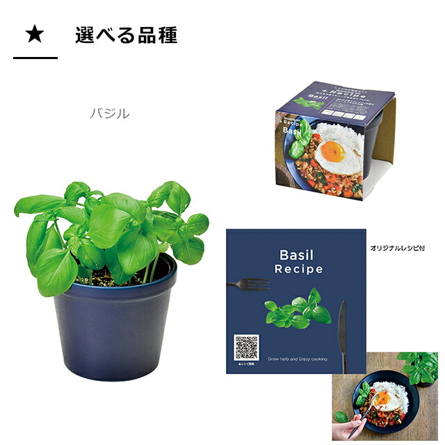 市場 ＼100円クーポン発行中 レシピ付き栽培セット 栽培セット 聖新陶芸 +Recipe GD-951 ハーブ