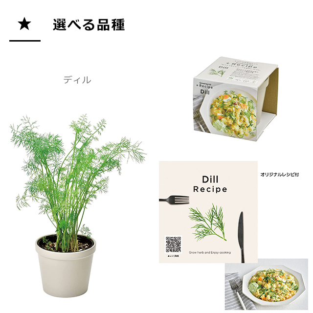 市場 ＼100円クーポン発行中 レシピ付き栽培セット 栽培セット 聖新陶芸 +Recipe GD-951 ハーブ