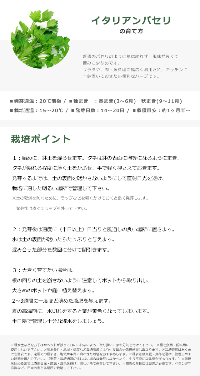 市場 ＼100円クーポン発行中 レシピ付き栽培セット 栽培セット 聖新陶芸 +Recipe GD-951 ハーブ