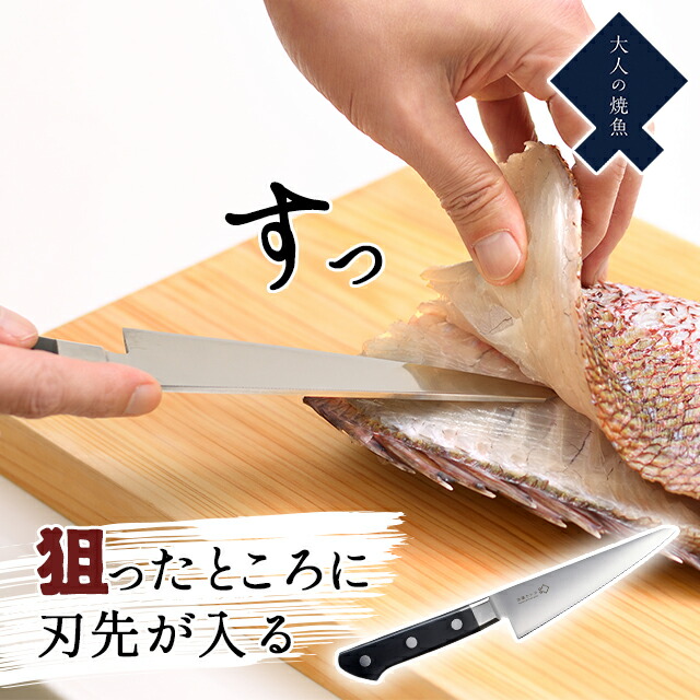 イベ価格不幸の連鎖を断ち切る身代わり持ち運びオルゴナイト 背中のミカタ EXG303 | ALINCO FITNESS
