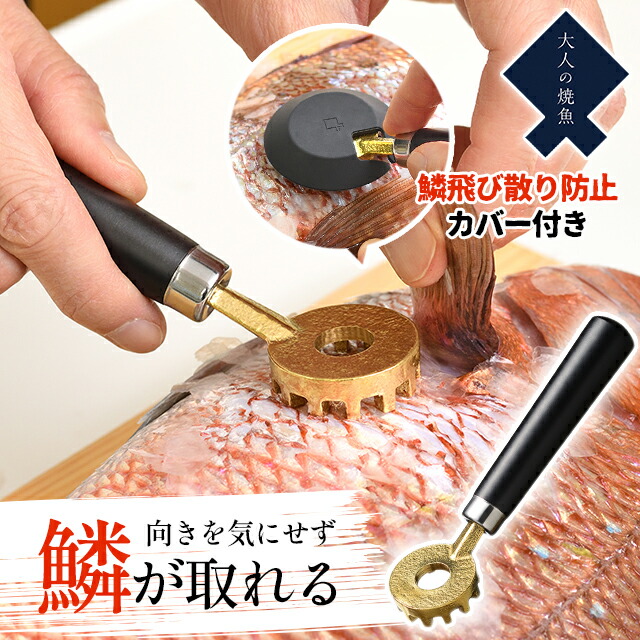 ＼100円OFF引き換え証ふり出し中／ うろこ取り 魚 オークス 成年者の焼魚 鱗とり 【 オークス 成年者の焼魚 鱗とり ウロコ取り うろこ取り 魚 御厨子所備品 御厨子所備品 日本製 燕三条 差し上げ物 差し上げ物 】〈宅配便〉
