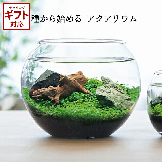 10001622_1_p.jpg