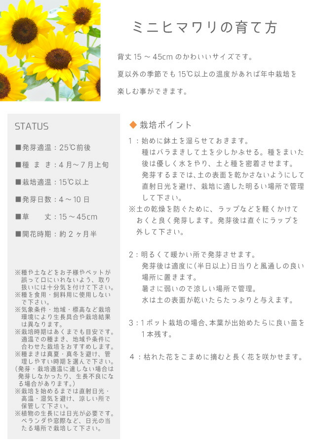 100円クーポン発行中 聖新陶芸 Ecot Gd435 スマイルサンフラワー Sale 93 Off スマイルサンフラワー