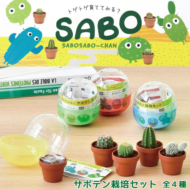 楽天市場 100円offクーポン発行中 聖新陶芸 育てるカプセル サボテン Green Capsule 1個 栽培セット キット ガチャガチャ Fine Dream 楽天市場店