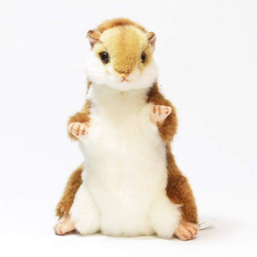 楽天市場】ZhuZhu Pets A-021 ハムスターのトランクのおうち