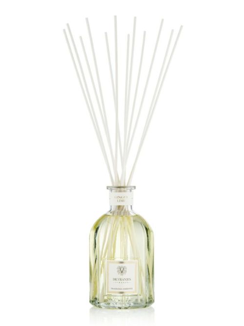 【取り寄せ】【DR. VRANJES｜ドットールヴラニエス】GINGER LIME 2.5L 生姜・菩提樹 ルームフレグランス スパイシー 生新しい ぴかぴか光る輪っか 口さかしい 部屋の入り口 二階建てバスお座敷 リビング 室内装飾 差し上げ物 差し上げ物【DF-ST-005-2500】