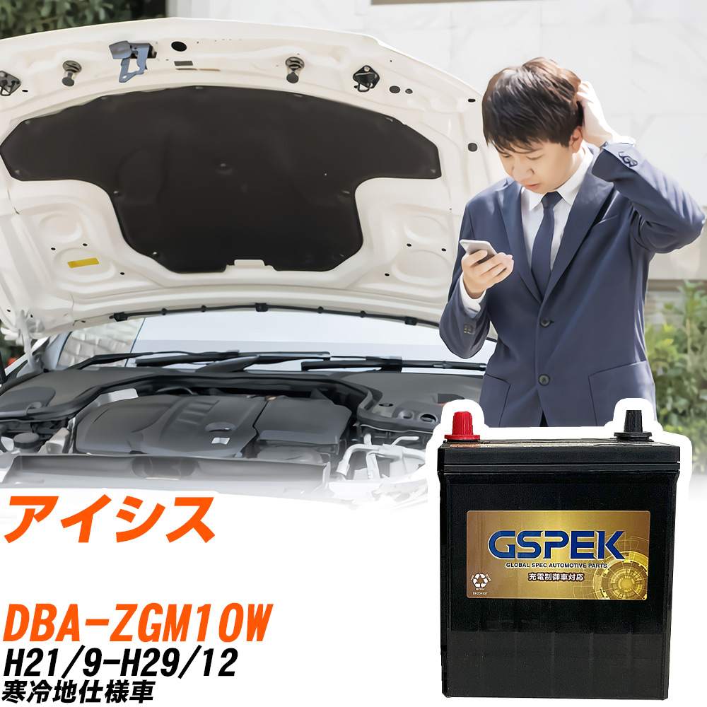 トヨタ アイシス ZGM10W H21/9-H29/12 寒冷地仕様車 バッテリー GSPEK 車 Gシリーズ G-65B24R/PL 【H04006】|yadocari - ヤドカリ -