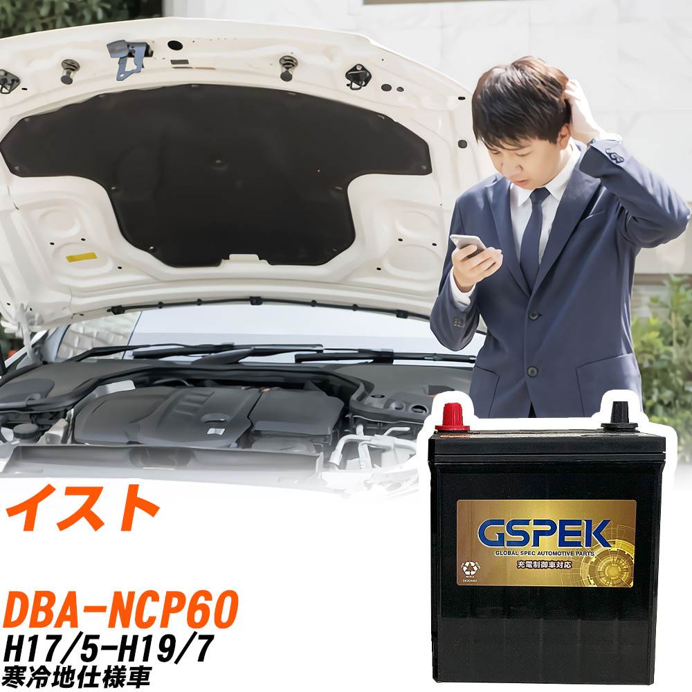 トヨタ イスト NCP60 H17/5-H19/7 寒冷地仕様車 バッテリー GSPEK 車 Gシリーズ G-65B24R/PL 【H04006】|yadocari - ヤドカリ -