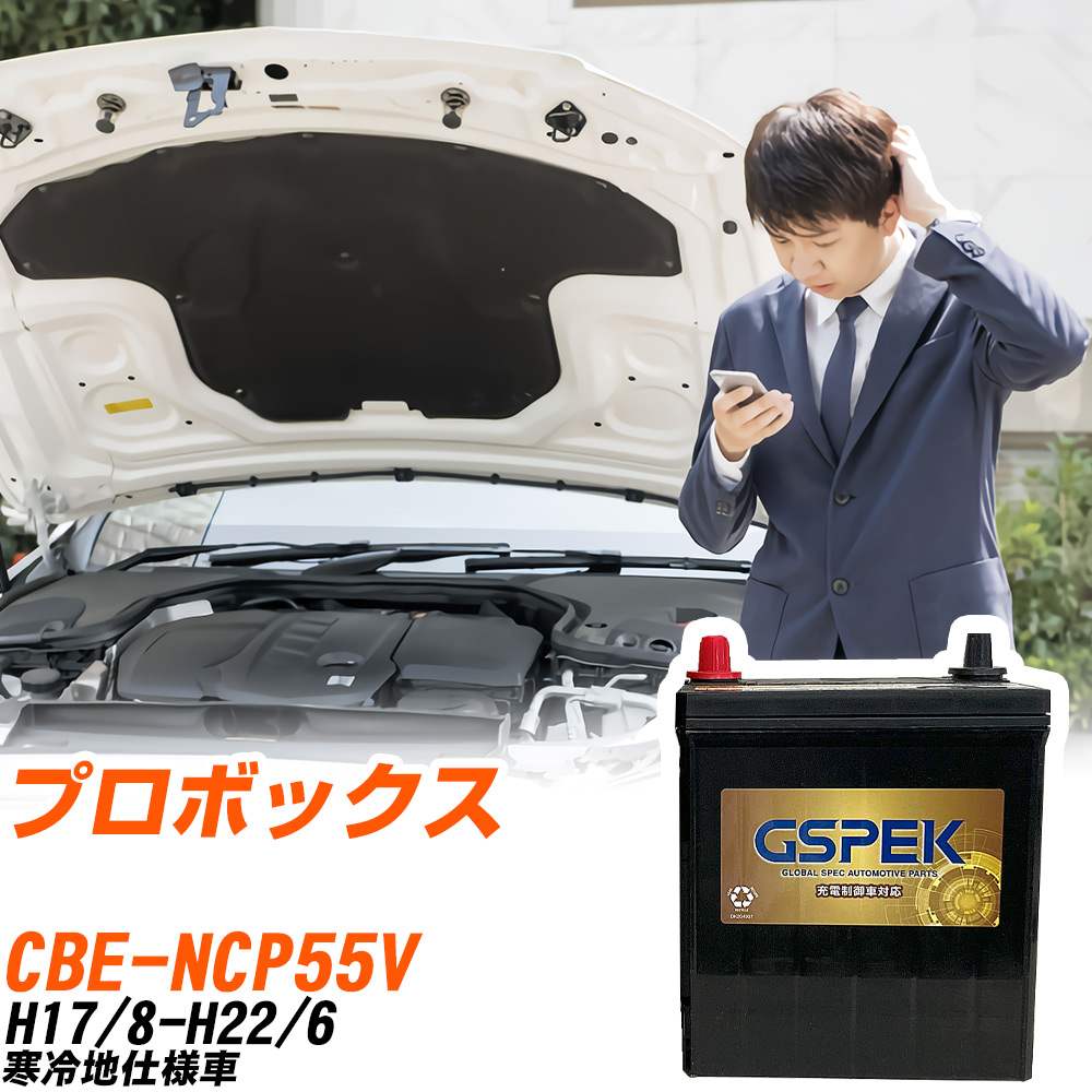 トヨタ プロボックス NCP55V H17/8-H22/6 寒冷地仕様車 バッテリー GSPEK 車 Gシリーズ G-65B24R/PL 【H04006】|yadocari - ヤドカリ -